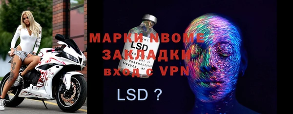 гашик Ладушкин