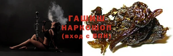 гашик Ладушкин