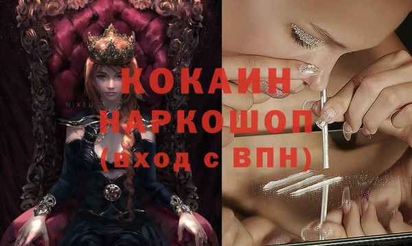 гашик Ладушкин