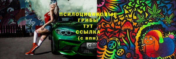гашик Ладушкин