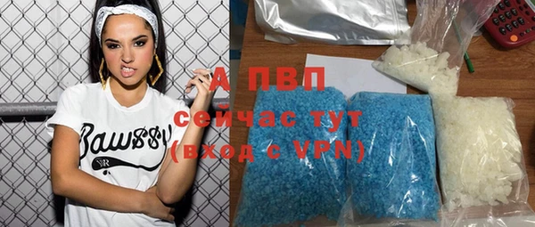 гашик Ладушкин