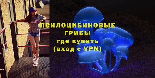 скорость Лагань